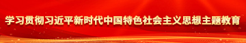 亚洲三区按摩日穴学习贯彻习近平新时代中国特色社会主义思想主题教育